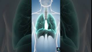 How Lungs Expand During Deep Breathing - This is what deep breathing does to your lungs!