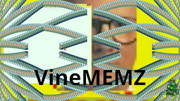 VineMEMZ Demonstration