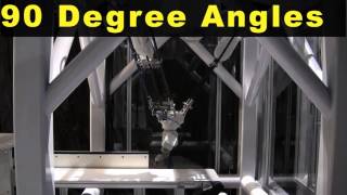 Food Robot M 3iA Picking Cookies   FANUC Robotics Industrial Automation