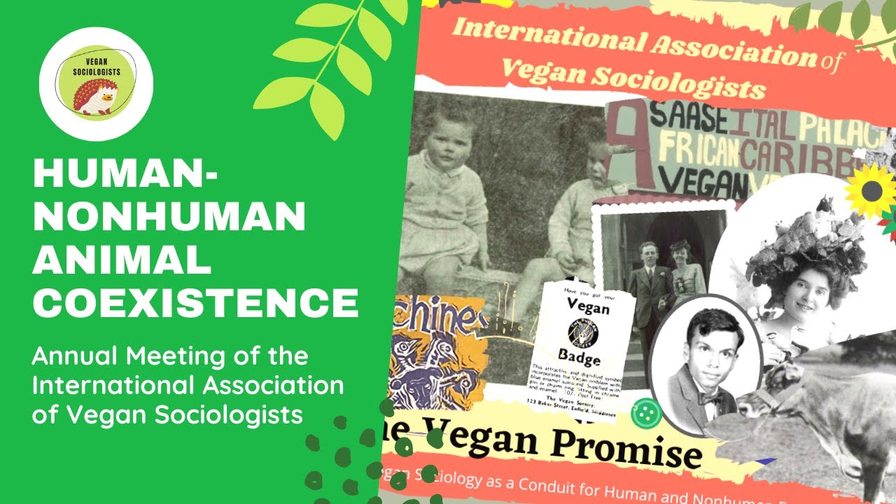 HumanNonhuman Animal Coexistence Panel IAVS 2021 YouTube