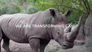 Wildlife Camp Online | WCS Education