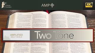 Bible Review: Amplified TwoTone Bible (Black Leathertex) screenshot 3