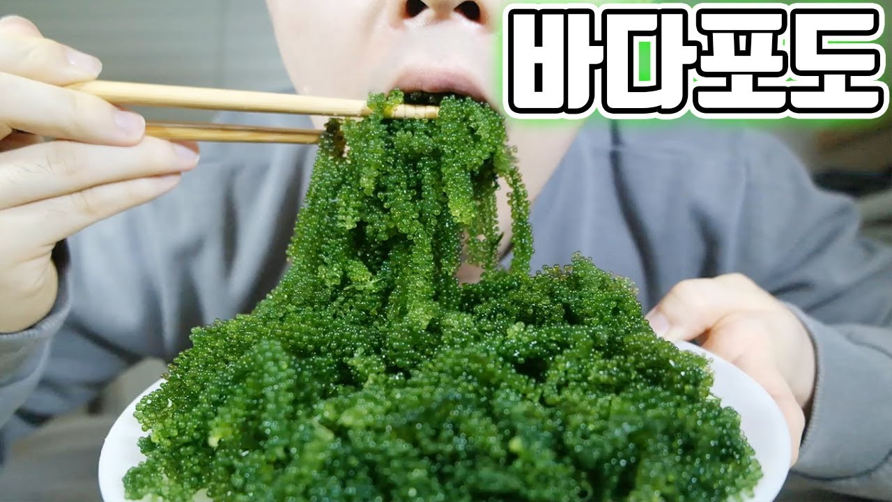특이하고 신기하고 징그러운 먹거리..! 바다포도 다먹어보았다!!(Sea Grapes) 비썹Bssup YouTube