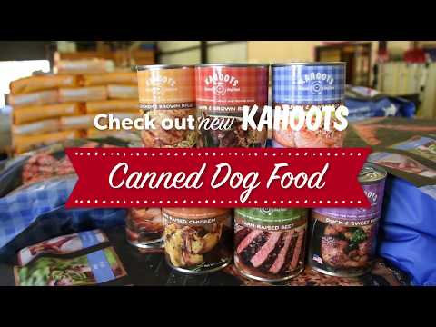 Agar Agar In Dog Food