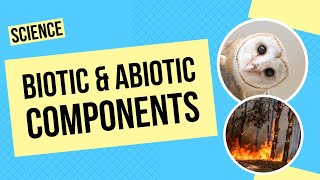 Biotic And Abiotic Components Science Lesson
