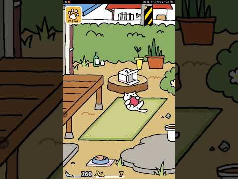 Forgot About This Game Cats