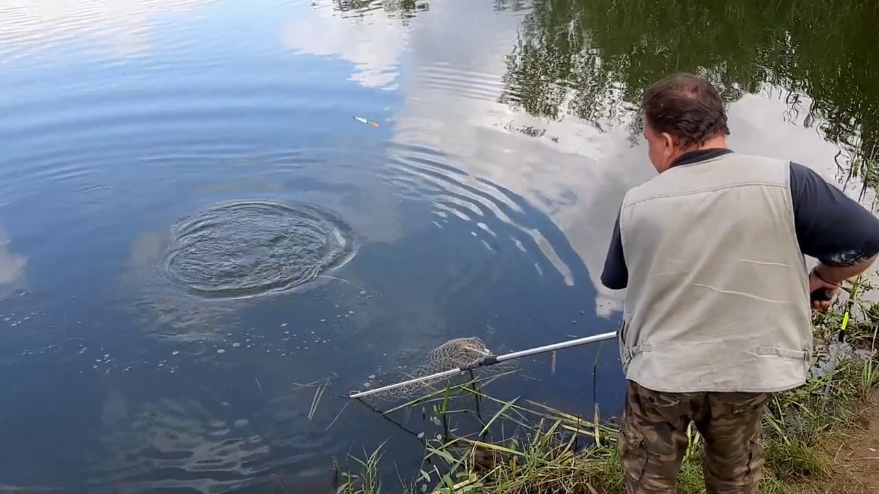 Рыбалка в коргашино. Платная рыбалка в Пирогово Коргашино.