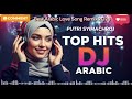 Arabic Love Song Remix | Soft Melodies &amp; Emotional Remix