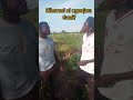 Kiharusi Ni Ugonjwa Wa Ndoa Jamani Maganga Kiharusi Ni Ugonjwa Wa Ndoa Jamani Maganga