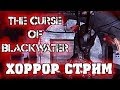 18.01.2014 СУББОТНИЙ СТРИМ - The Curse Of Blackwater Третий Уровень