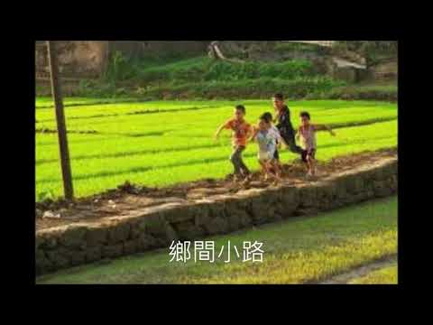 鄉間小路 Sunny Guo 小郭