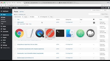 00 WP REST API basic CRUD with Postman - List Posts