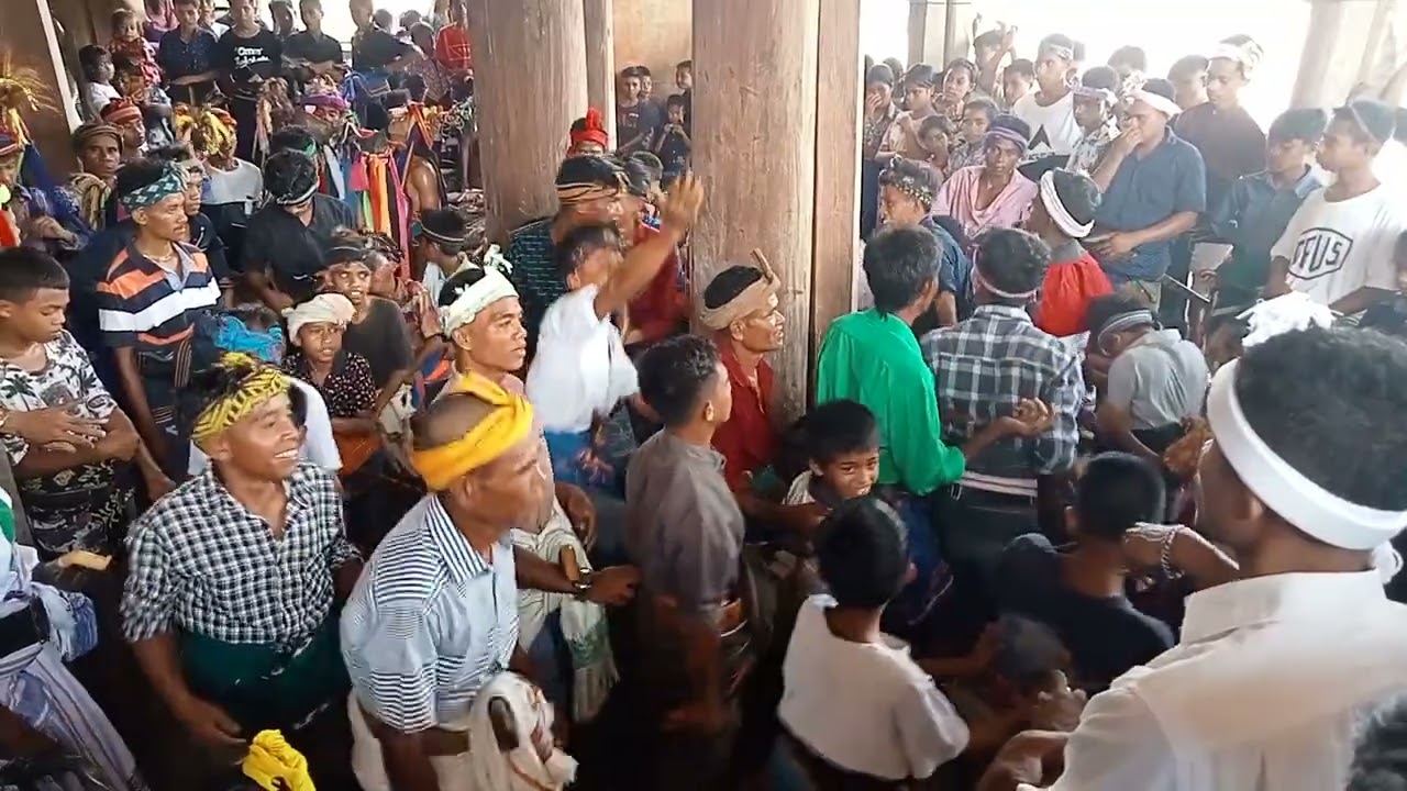 Acara Wulla Poddu di Kampung Tarung Sumba Barat 👍
