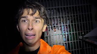 TRYING TO ESCAPE  