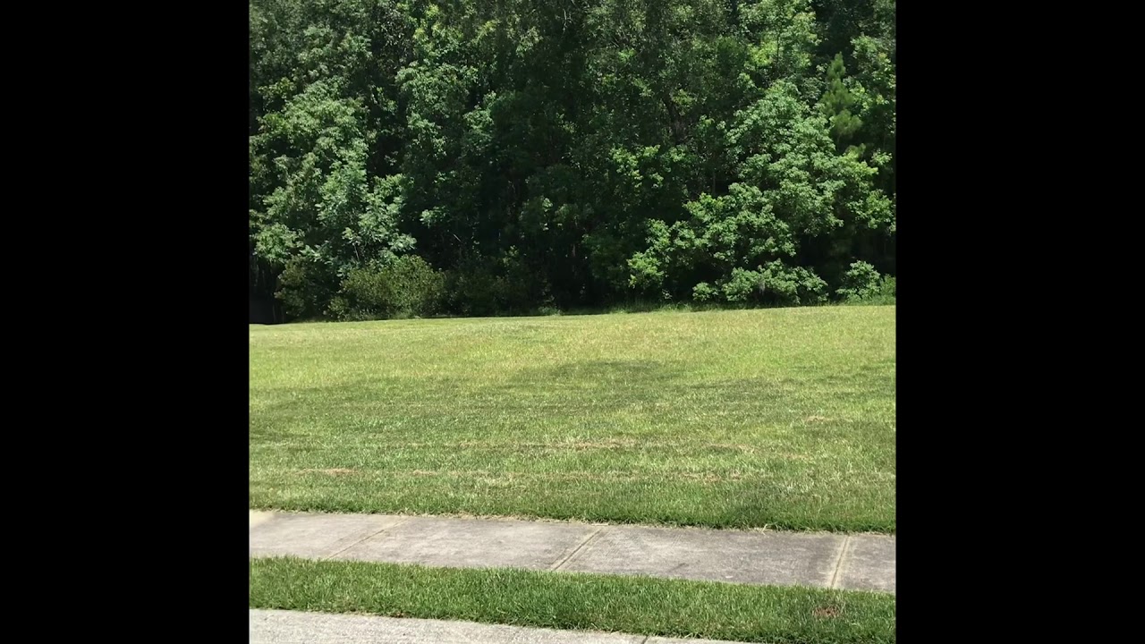 Beautiful Lot! Beresford Creek Landing YouTube