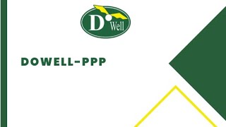 Dowell PPP API screenshot 3