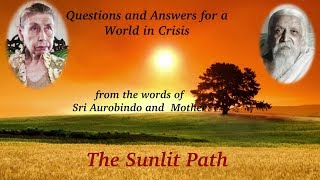 Sunlit Path