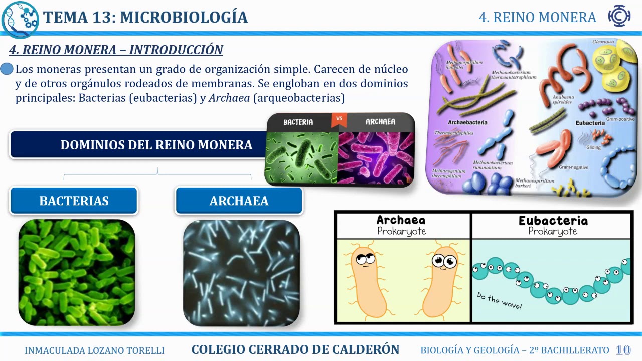 Biología 2ºBach_Tema 12. (1) Microbiología. Tipos de microorganismos