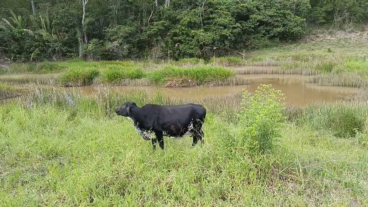 4 de fevereiro de 2026