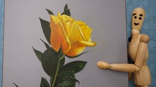 Let's paint a Yellow Rose. Ep.7