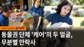 뉴스타파 - 동물권 단체 '케어'의 두 얼굴, 무분별 안락사