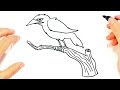 How to draw a Crow Step by Step | Crow Drawing Lesson