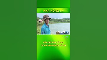 Hiệu quả kinh tế cao từ mô hình nuôi cá rô phi