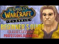 Classic WoW Beginner's Guide (Classes, Leveling, Professions, Etc.)