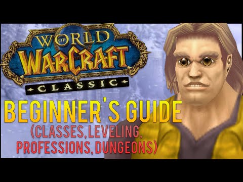Classic WoW Beginner's Guide (Classes, Leveling, Professions, Etc.)