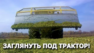 Заглянуть под трактор! Вот это да! Трамбовка кукурузного силоса в Вощажниково