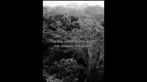 حالات وتس|| من سوره الشعراء^ بصوت الشيخ احمد نفيس