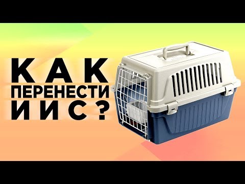 Как перевести иис из одного банка в другой