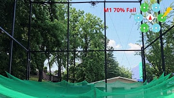 Real-time Anomaly Detection of Multicopter Thrust SubsystemUsingAutoencoder and Flight Test