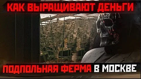 Как в РОССИИ выращивают ТРАВКУ   Подпольная ферма МОРИАРТИ