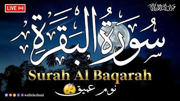 سورة البقرة طاردة الشياطين 💚 قران كريم بصوت جميل ومريح جدا 💚 تلاوة هادئة للنوم والراحة النفسية😴