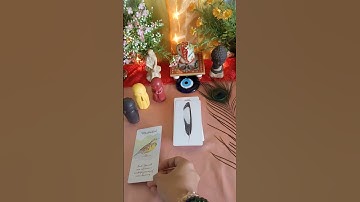 Message from the Divine feathers