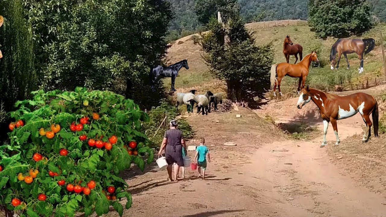 ДРУЗЬЯ, ПРИХОДИТЕ К НАШИМ ГОСТИ! - БАБУШКИ ГОТОВЯТ НА УЖИН ДРЕВНИЙ ХЛЕБ И ЕДА С ОРЕХАМИ