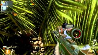 SICK RAID TREE SHOT!!