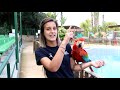 Aves Exóticas en Terra Natura || CAP. 1 🦜