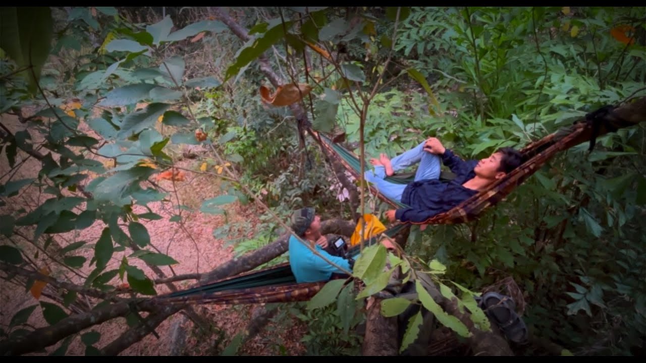 หลงป่าหาทางกลับไม่เจอ พักป่าอีกคืนด้วยการผูกเปลบนต้น
