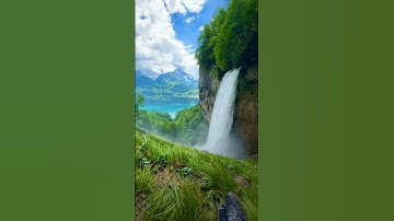 تدبروا سورة الإسراء من الآية 23 إلى 25 #قرآن  #Quran