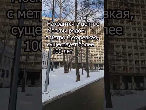 Склиф, или самая известная больница Москвы