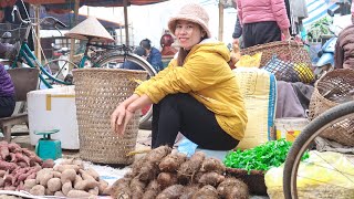 harvest potatoes, yams, vegetables, chrysanthemums, bring them to the market to sell. #137 lily farm