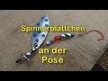 Spinnerblättchen an der Pose