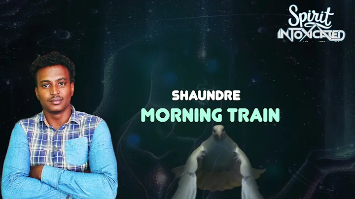 SHAUNDRE - MORNING TRAIN (SPIRIT INTOXICATED RIDDIM)