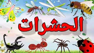 الحشرات بالعربي للأطفال