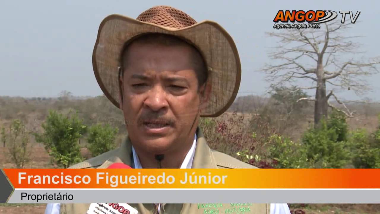 Cuanza Sul aposta na produção de ovos