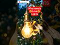 keeda aur light ki jodi#trending #viral #lifeisbutadream #entertainment #automobile #youtubeshorts