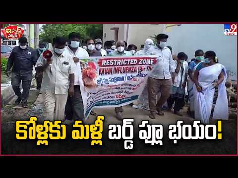 iSmart News: Bird flu scare returns for poultry! | Bird flu Anantapur - TV9