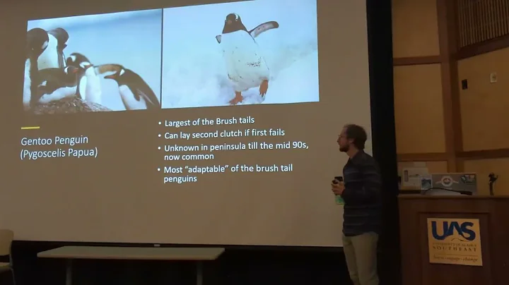 Plight of the penguins Oct2023